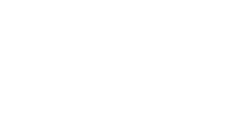 logo2
