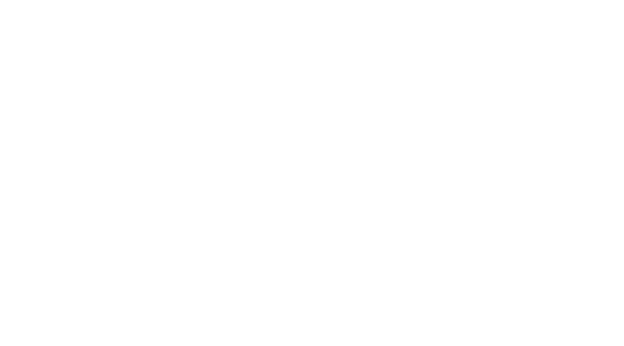 logo2